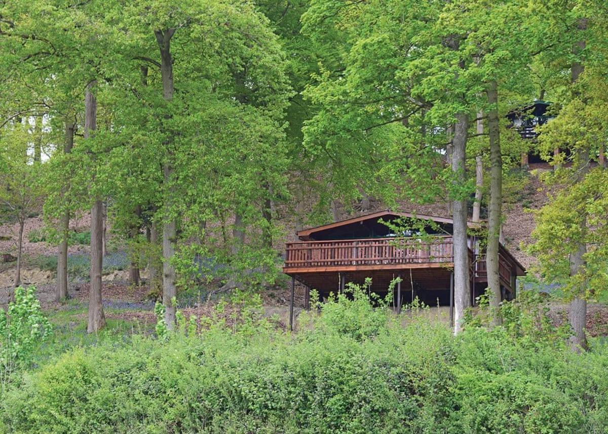 Penllwyn Lodges モントゴメリー エクステリア 写真